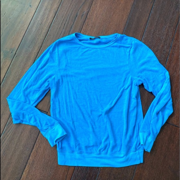 Wildfox Tops - Wildfox sweatshirt
